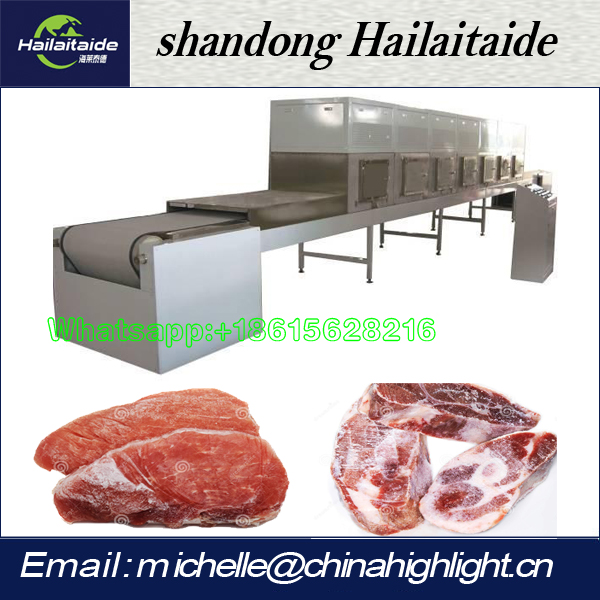 Meat instant thawing machine for sale
