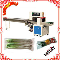 Vegetable and fruit packaging machine wrpping machinery